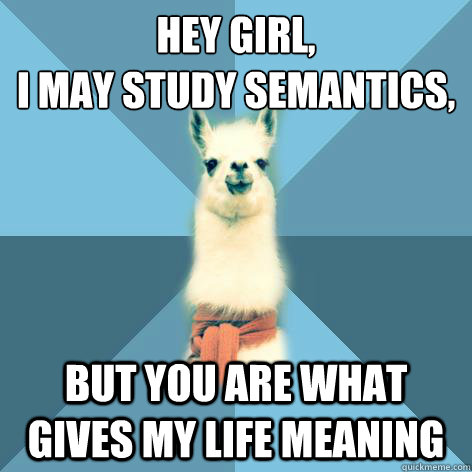 Hey girl, 
I may study semantics, But you are what gives my life meaning - Hey girl, 
I may study semantics, But you are what gives my life meaning  Linguist Llama