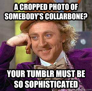 A CROPPED PHOTO OF SOMEBODY'S COLLARBONE? YOUR TUMBLR MUST BE SO SOPHISTICATED  Condescending Wonka