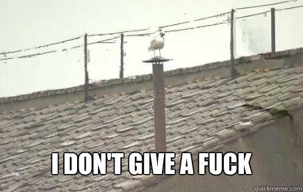  I don't give a fuck -  I don't give a fuck  Sistine Seagull