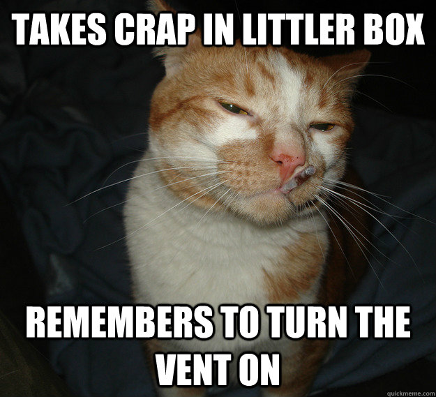 takes crap in littler box remembers to turn the vent on  Cool Cat Craig
