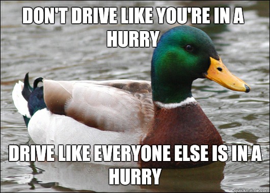 Don't drive like you're in a hurry Drive like everyone else is in a hurry  Actual Advice Mallard
