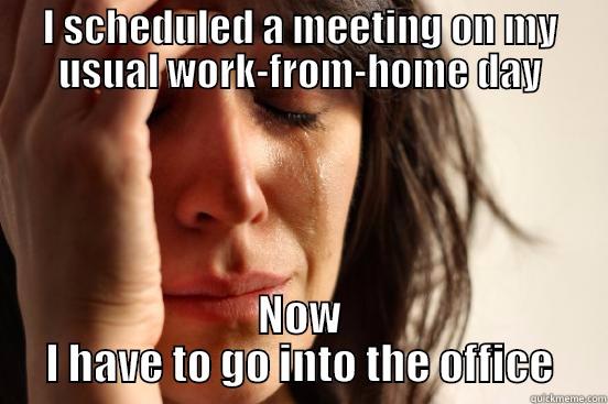 I SCHEDULED A MEETING ON MY USUAL WORK-FROM-HOME DAY NOW I HAVE TO GO INTO THE OFFICE First World Problems
