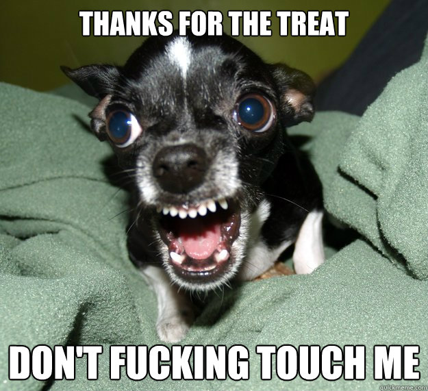 Thanks for the treat DON'T FUCKING TOUCH ME  Chihuahua Logic