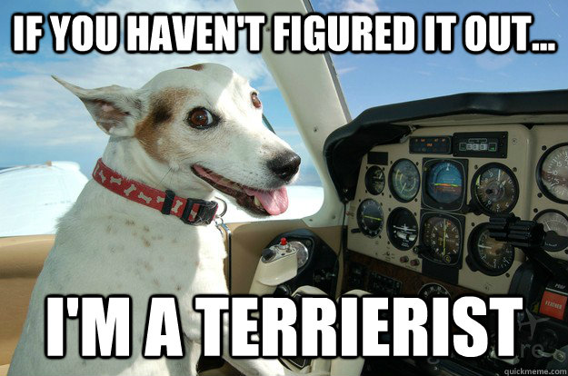 if you haven't figured it out... I'm a terrierist  Co-Pilot Dog