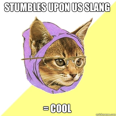 Stumbles upon US slang = cool  Hipster Kitty