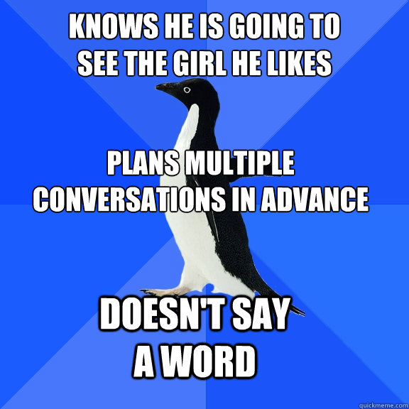 Knows he is going to
see the girl he likes Plans multiple
conversations in advance doesn't say a word  Socially Awkward Penguin