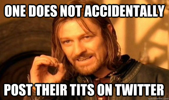 ONE DOES NOT ACCIDENTALLY POST THEIR TITS ON TWITTER  One Does Not Simply