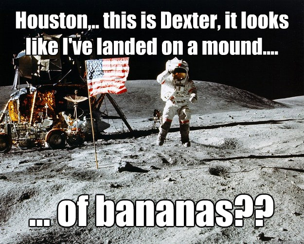 Houston,.. this is Dexter, it looks like I've landed on a mound.... ... of bananas??  Unimpressed Astronaut