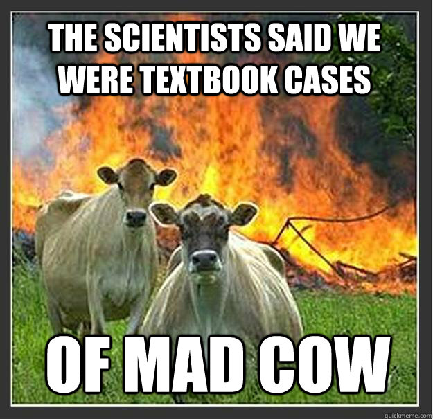 The scientists said we were textbook cases of mad cow  Evil cows