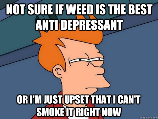 Not sure if weed is the best anti depressant or i'm just upset that i can't smoke it right now - Not sure if weed is the best anti depressant or i'm just upset that i can't smoke it right now  Futurama Fry