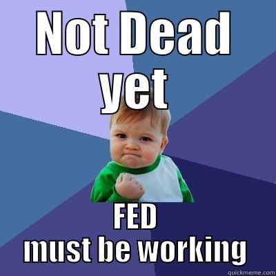 NOT DEAD YET FED MUST BE WORKING Success Kid