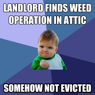 landlord finds weed operation in attic somehow not evicted  Success Kid