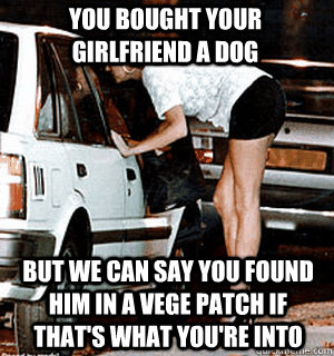 You bought your girlfriend a dog But we can say you found him in a vege patch if that's what you're into  Karma Whore