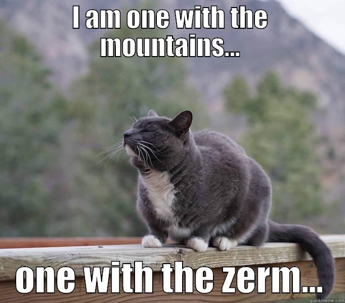 I AM ONE WITH THE MOUNTAINS...    ONE WITH THE ZERM...   Misc