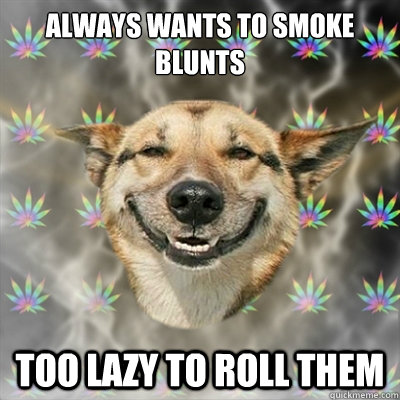 Always wants to smoke blunts Too lazy to roll them  Stoner Dog