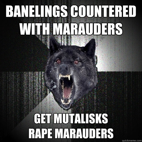 banelings countered with marauders get mutalisks
rape marauders  Insanity Wolf