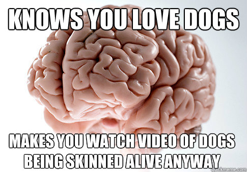 Knows you love dogs Makes you watch video of dogs being skinned alive anyway   Scumbag Brain
