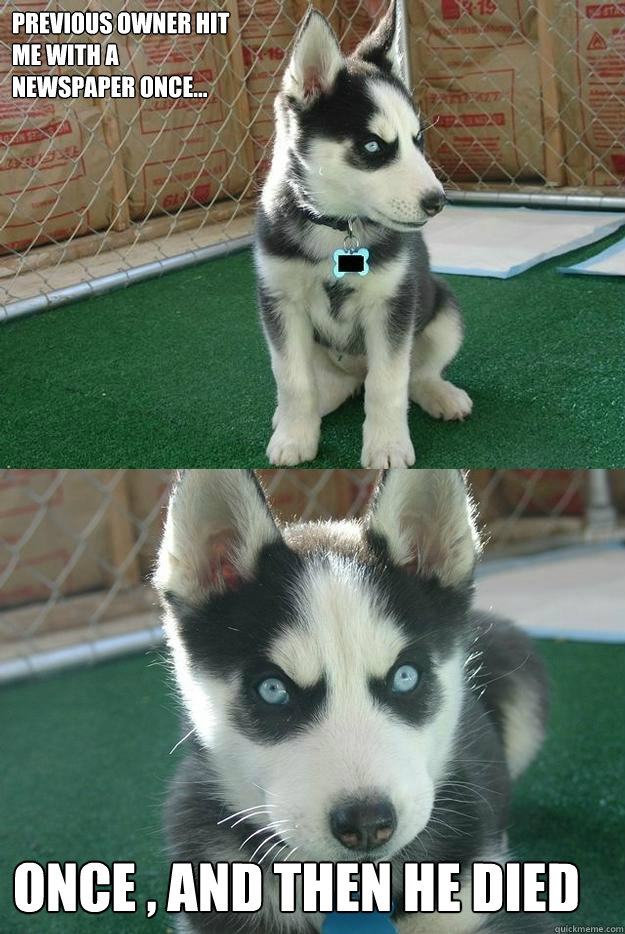 Previous owner hit 
me with a 
newspaper once... once , and then he died  Insanity puppy