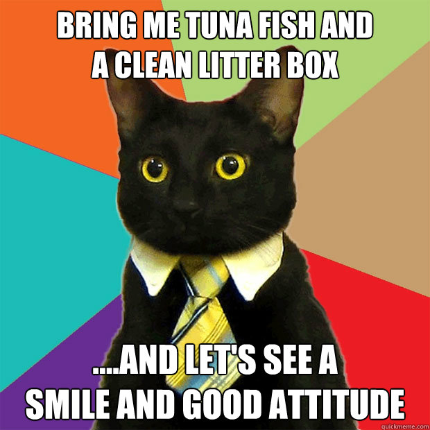 Bring me tuna fish and 
a clean litter box ....and let's see a 
smile and good attitude  Business Cat