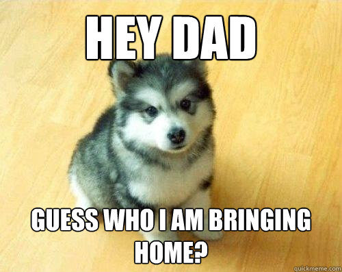 HEY DAD GUESS WHO I AM BRINGING HOME?  Baby Courage Wolf