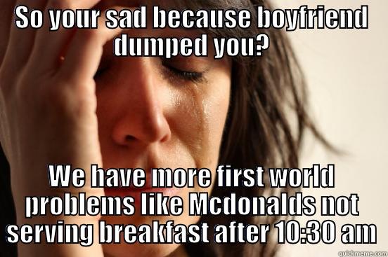 SO YOUR SAD BECAUSE BOYFRIEND DUMPED YOU? WE HAVE MORE FIRST WORLD PROBLEMS LIKE MCDONALDS NOT SERVING BREAKFAST AFTER 10:30 AM First World Problems