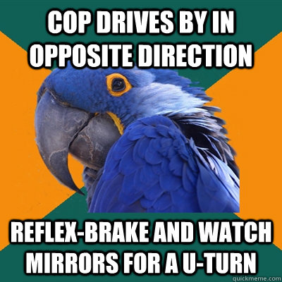 Cop drives by in opposite direction reflex-Brake and watch mirrors for a u-turn  Paranoid Parrot