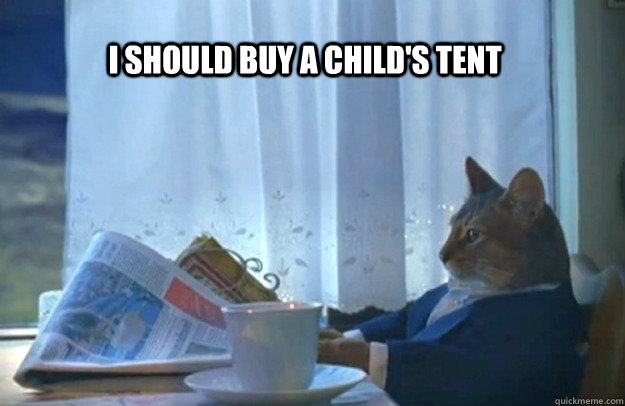 I should buy a child's tent  Sophisticated Cat