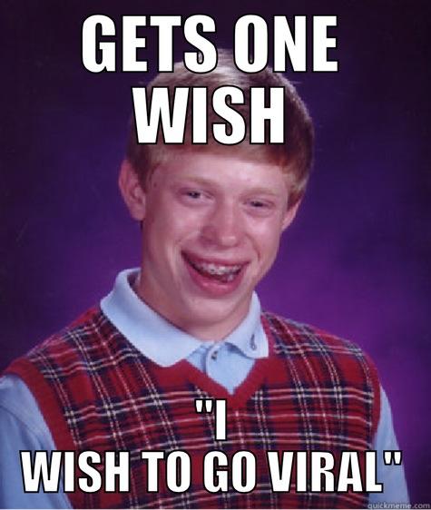 GETS ONE WISH 