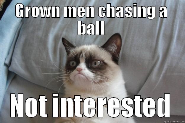 Not interested in sports - GROWN MEN CHASING A BALL NOT INTERESTED Grumpy Cat