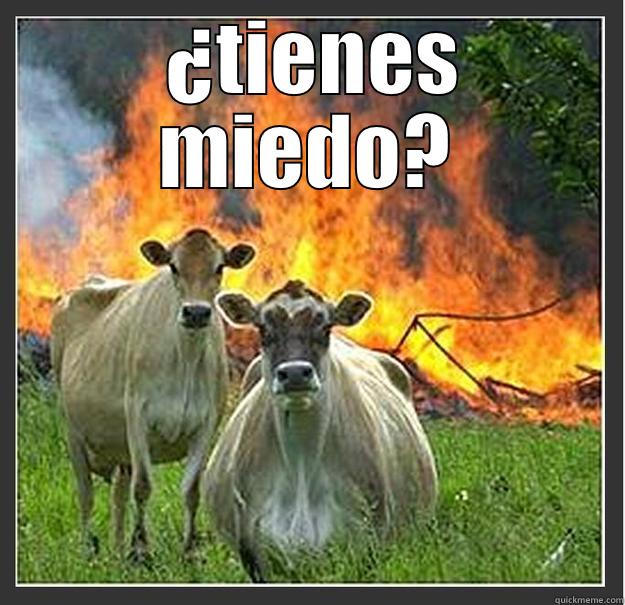  ¿TIENES MIEDO?  Evil cows