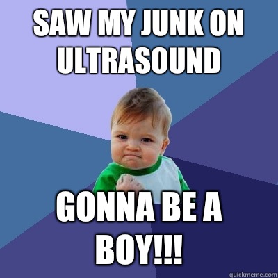 Saw my junk on ultrasound Gonna be a boy!!!  Success Kid