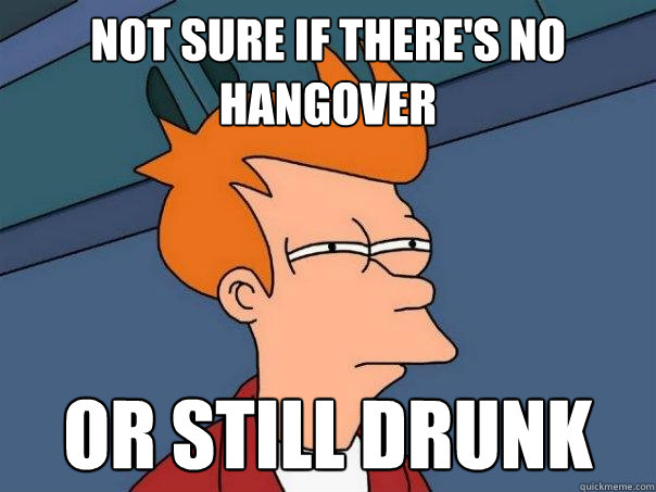 Not sure if there's no hangover Or still drunk  Futurama Fry