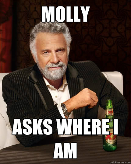 Molly Asks where I am  The Most Interesting Man In The World