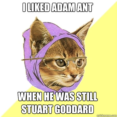 i liked adam ant when he was still stuart goddard  Hipster Kitty