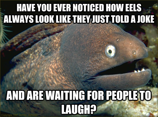 have you ever noticed how eels always look like they just told a joke and are waiting for people to laugh? - have you ever noticed how eels always look like they just told a joke and are waiting for people to laugh?  Bad Joke Eel