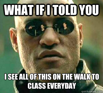 What if I told you I see all of this on the walk to class everyday  Matrix Morpheus