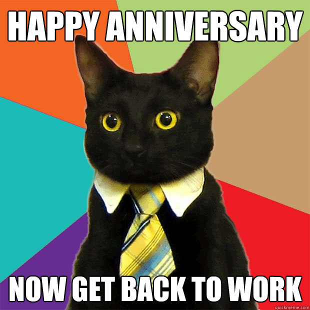 happy anniversary Now get back to work - happy anniversary Now get back to work  Business Cat
