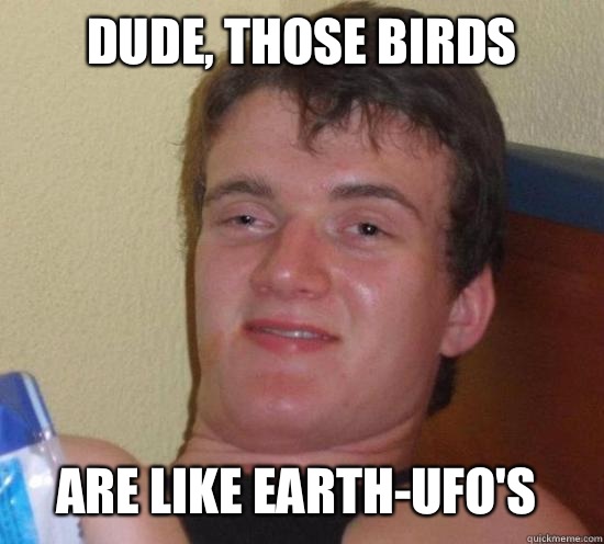 Dude, those birds Are like earth-UFO's  10 Guy
