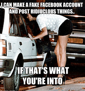 I can make a fake facebook account and post ridiuclous things..  if that's what you're into  Karma Whore