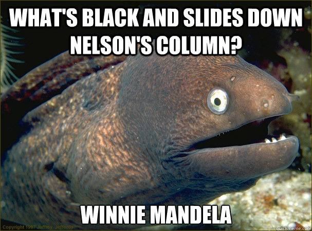 what's black and slides down nelson's column? winnie mandela   Bad Joke Eel
