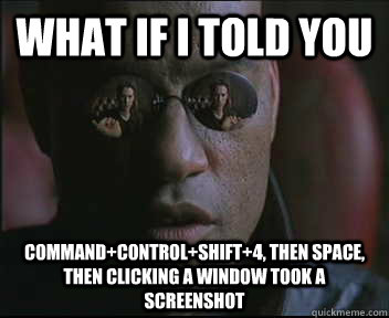 What if I told you Command+Control+Shift+4, then space, then clicking a window took a screenshot  Morpheus SC