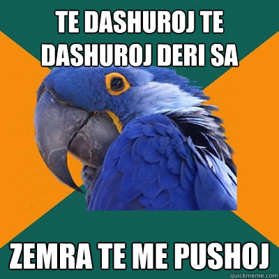 te dashuroj te dashuroj deri sa  zemra te me pushoj  Paranoid Parrot