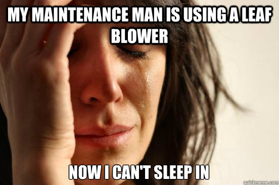 My maintenance man is using a leaf blower Now I can't sleep in   First World Problems