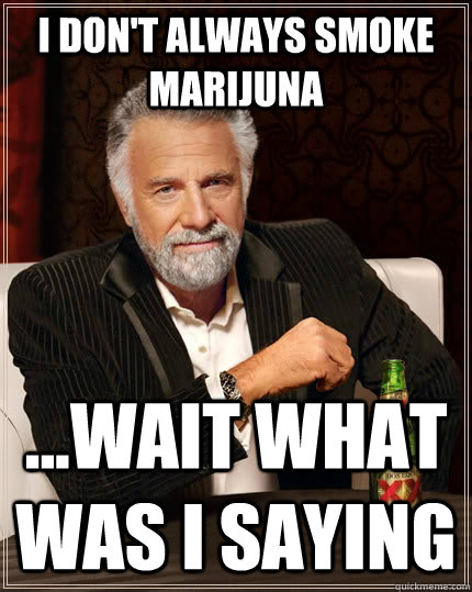 I don't always smoke marijuna ...Wait what was I saying  The Most Interesting Man In The World