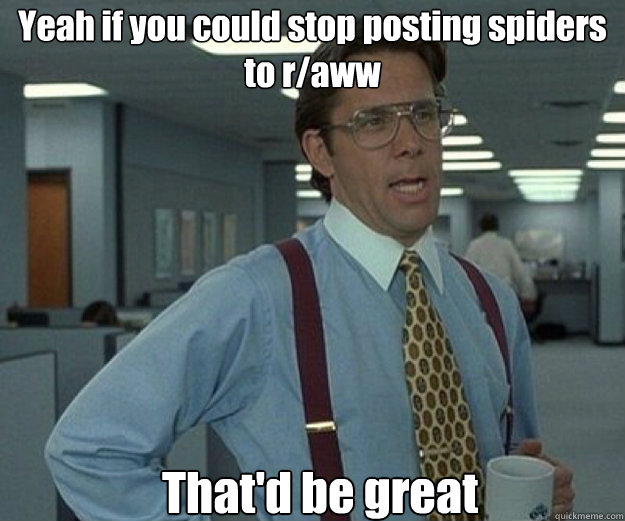 Yeah if you could stop posting spiders to r/aww That'd be great  that would be great