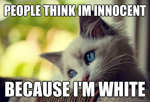 People think im innocent  because i'm white - People think im innocent  because i'm white  First World Problems Cat