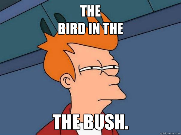 the 
bird in the   the bush.  Futurama Fry
