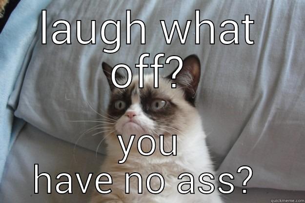 LAUGH WHAT OFF? YOU HAVE NO ASS?  Grumpy Cat