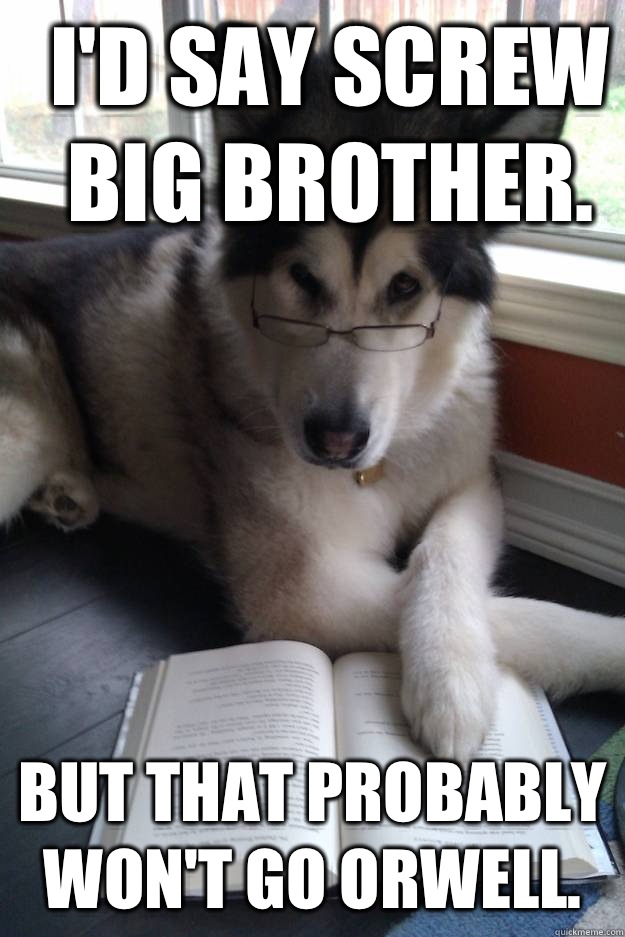 I'd say screw big brother. But that probably won't go Orwell.  Condescending Literary Pun Dog