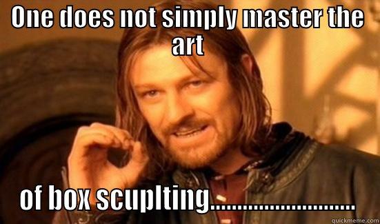 ONE DOES NOT SIMPLY MASTER THE ART OF BOX SCUPLTING........................... Boromir